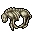 Corpses