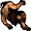 Corpses